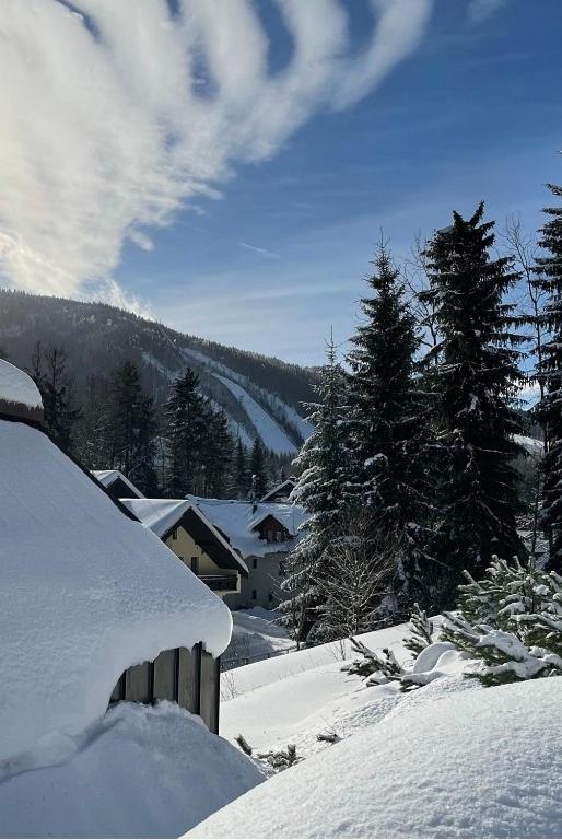 Garage Harrachov Lägenhet Exteriör bild